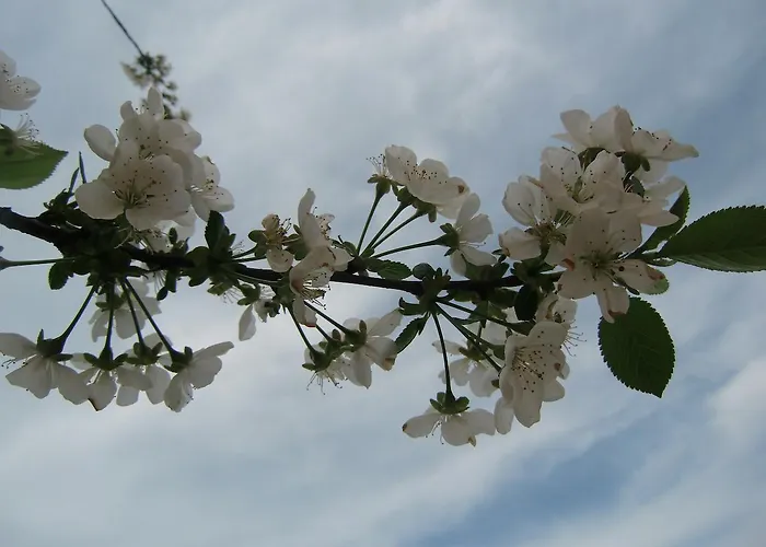 Heidehof Konigswartha